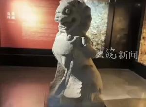安徽一村里的石獅子 現(xiàn)身江蘇一私人博物館？社區(qū)干部：“鎮(zhèn)村之寶”
