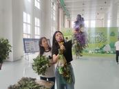 粽香艾草迎端午 工地歡樂共安康