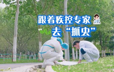  公园也有！叮咬可致死！跟着疾控专家去“抓虫”