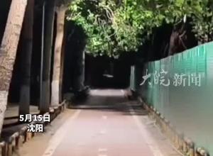 散步路上街邊路燈集體閃爍