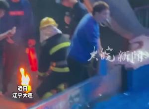 可愛一幕！海洋館消防演練，白鯨一躍而起：“烤”驗我？