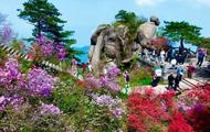 五一小長假 池州4A級以上景區接待游客79.72萬人次