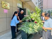 艾香盈門暖鄰心—— 鴻鶴物業“濃情端午·送艾到家”活動側記