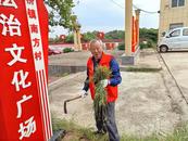 “小積分”破解人居環境整治后期管護“大難題”
