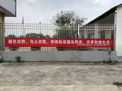 怀宁高河：保护鸟类 维护生态平衡