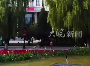 沈陽職業技術學院被質疑 為專人設立“蘿卜崗”  學院回應:不實信息，已舉報