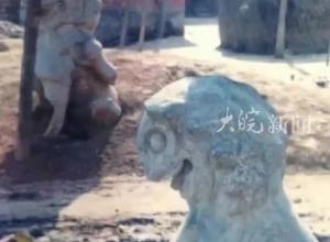 安徽一村里17年前丟失石獅在徐州一博物館里找到？相關部門最新回應