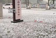 四川青川縣冰雹匯聚成“冰河”，居民稱“幾十年沒見過這么大的”
