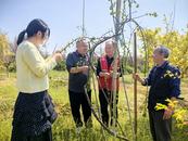 長豐縣崗集鎮：“織網工程” 譜寫基層治理“新篇章”