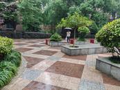 吴颖：雨中对话