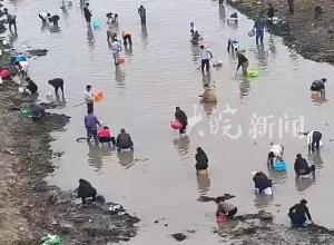 人員聚集下河摸金摸銅錢？河南一地辟謠：是摸河蚌