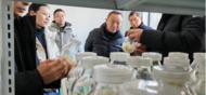 祁门县：从“经验种”到“标准种”，解锁多花黄精产业升级的“标准密码”