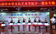 肥西县第十六届中小学文化艺术节器乐专场顺利举行