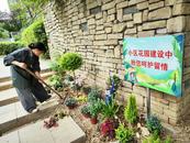 组建团队，商讨方案｜芜湖市弋江区橡绿园社区自治组织升级花园蓝图  