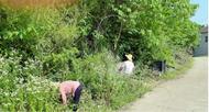 樅陽縣會宮鎮：積極落實鄉村清潔行動， 打造宜居和美鄉村