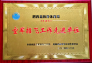 肥西县空军招飞工作获省级表彰
