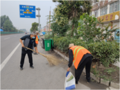 濉溪县百善镇开展垃圾清理“净化”行动