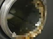 及时语｜学校食堂绞肉机出现蛆虫  监管缺位是根源