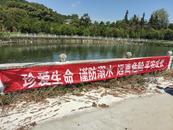 宜秀區五橫鄉曰公社區：“防”字當先 “護”住童心