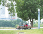阜陽(yáng)：暑熱尚未“抬頭”，早晚清涼