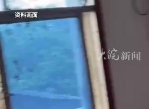 一群蜜蜂飛到家里 4歲女童被蜜蜂蜇傷致死 派出所：屬意外事件 無責任主體 鎮政府：正進一步調查，將妥善處理
