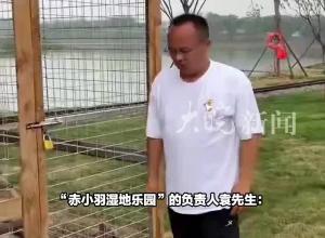 鎮江一對情侶小浣熊出逃 園方:可能挖洞躲了起來 希望在“520”前找到

 