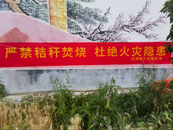 河溜鎮：加大巡查和宣傳力度 筑牢秸稈禁燒“防火墻”