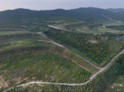 江淮环保世纪行 |  生态修复显成效  废弃矿山变青山