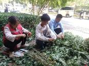 粽情端午，爱在天方｜天方物业多小区传统文化活动暖心启幕