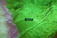 “天下第一奇花”下的軍民魚(yú)水情
