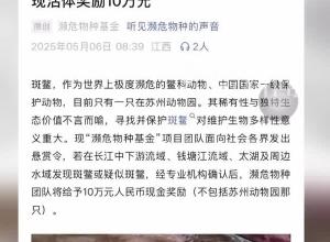 一民間公益組織 懸賞10萬元尋找斑鱉