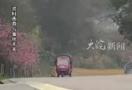 男子撞人后將傷者藏到廁所致死 一審被判處有期徒刑10年