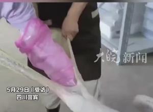 樂園鵜鶘吃下幾只兔“同事”被工作人員取出 樂園回應(yīng)：兔子們沒受傷