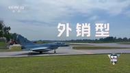 央視披露：外銷型戰機殲-10CE實戰擊落多架戰機