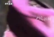 51歲曹穎自曝患胃癌引關(guān)注 專(zhuān)家：早期胃癌無(wú)癥狀 做好這三點(diǎn)可降低風(fēng)險(xiǎn)