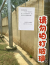 合肥網(wǎng)紅猴“大壯”生病了