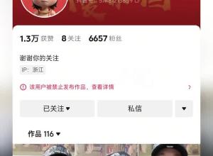 網(wǎng)民大量搬運(yùn)“柴懟懟”視頻  兩天漲粉6000獲贊一萬(wàn)  官方:已禁止發(fā)布作品