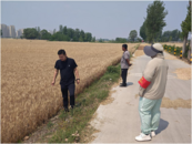 濉溪县百善镇纪委：一线督查压实秸秆禁烧责任