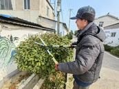 宜秀區白澤湖鄉龍華村：村民代表齊發力，點亮人居環境“新顏值”