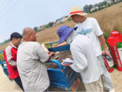 【网络中国节•端午】‌怀宁县金拱镇：白莲圩油菜实测连续获高产‌  