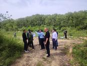 懷寧縣馬廟鎮：大沙河綜合治理工程全面啟動