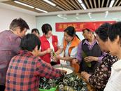 安慶經(jīng)開區(qū)老峰鎮(zhèn)：粽葉裹住平安 安全“系”住幸福