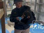 與你“同崗”—— “五一”職業副本體驗卡｜游客鏡頭之外，“動物家長”在忙些啥