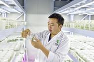 安徽長豐：科技興農繪新景 產業富民譜華章