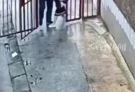 女童回家被陌生男子拖進(jìn)小巷 危急時(shí)刻樓上好心大叔制止報(bào)警 