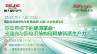 全球零碳浪潮奔涌，德力西電氣領航SNEC盛會