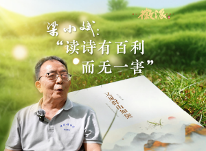 梁小斌：“讀詩有百利而無一害”