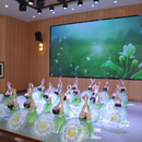 宿州市第十二小學教育集團文藝匯演精彩綻放  