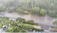 午后突发短时强降水 合肥发布强对流黄色预警