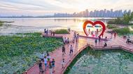 蚌埠市龍子湖區(qū)：荷花盛開引客來
